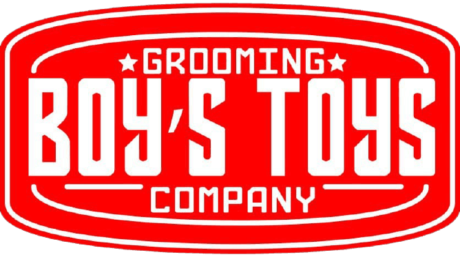 Boy's Toys logo